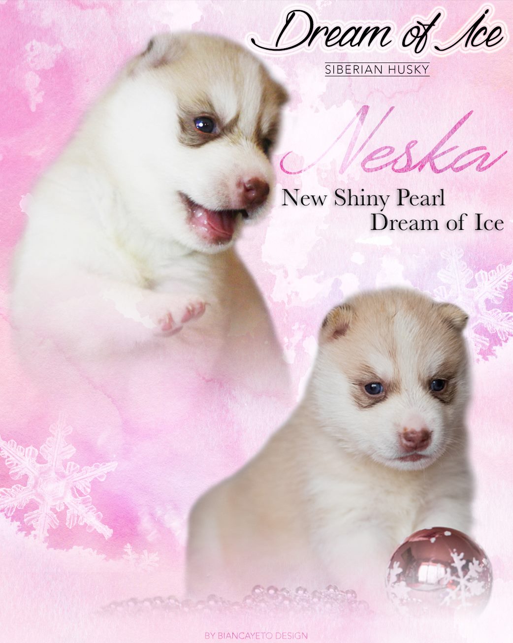New shiny pearl Dream Of Ice