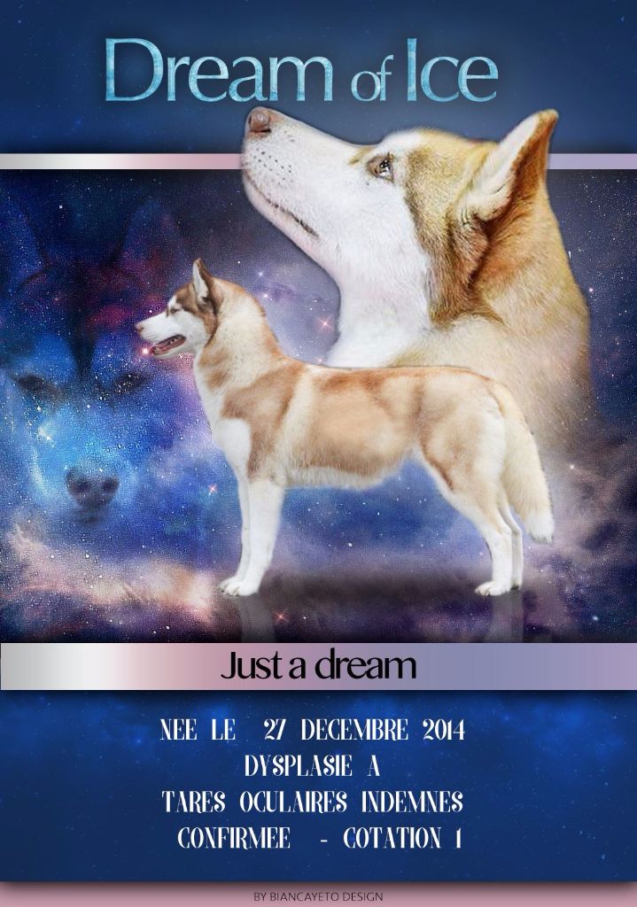 (Sans Affixe) Just a dream